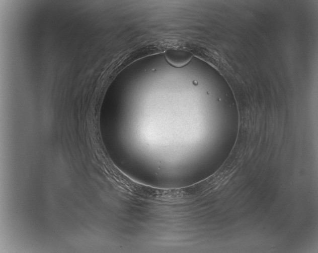 X0000068721201200605010924