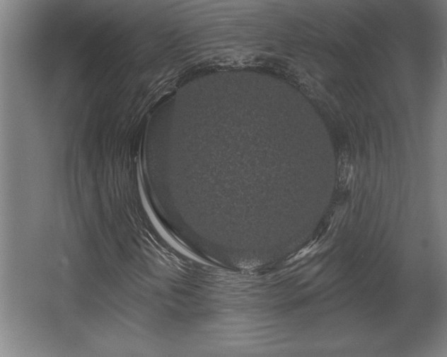 X0000068721202200605010924