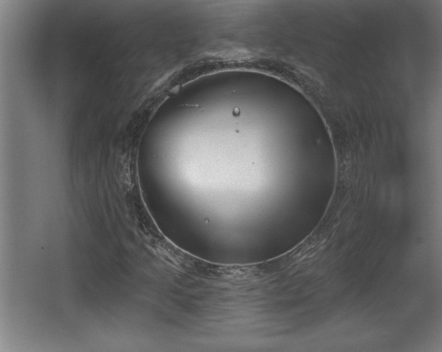 X0000068721205200605010924