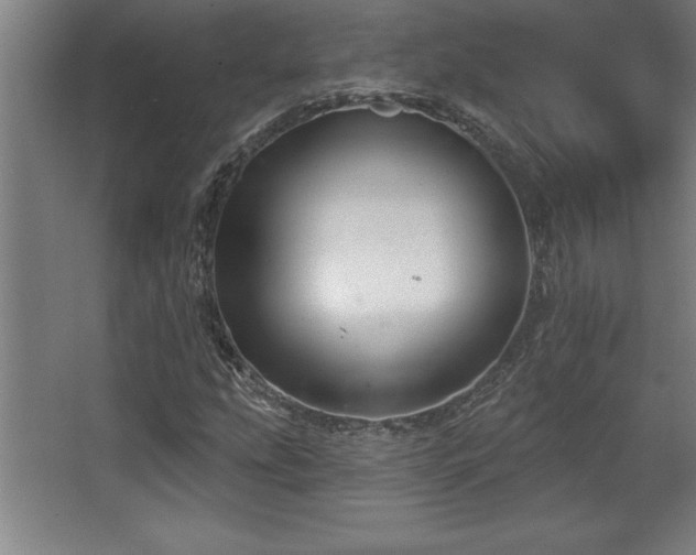 X0000068721207200605010924