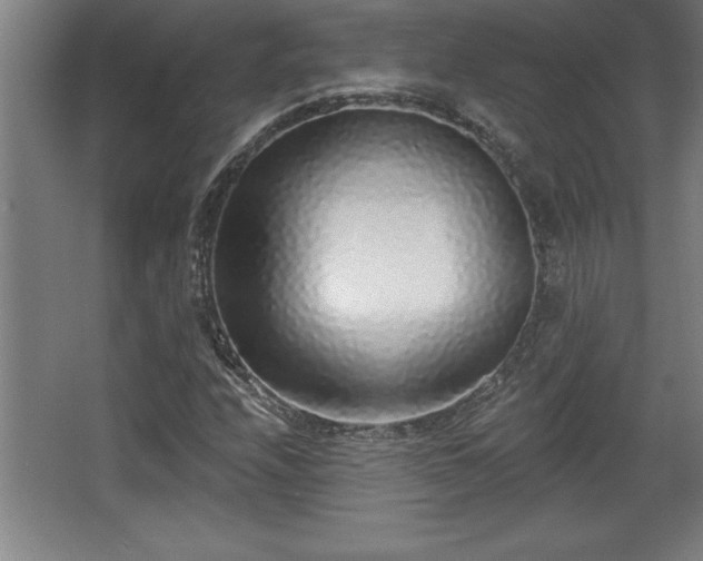 X0000068721208200605010924