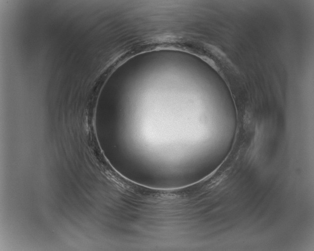 X0000068721209200605010924