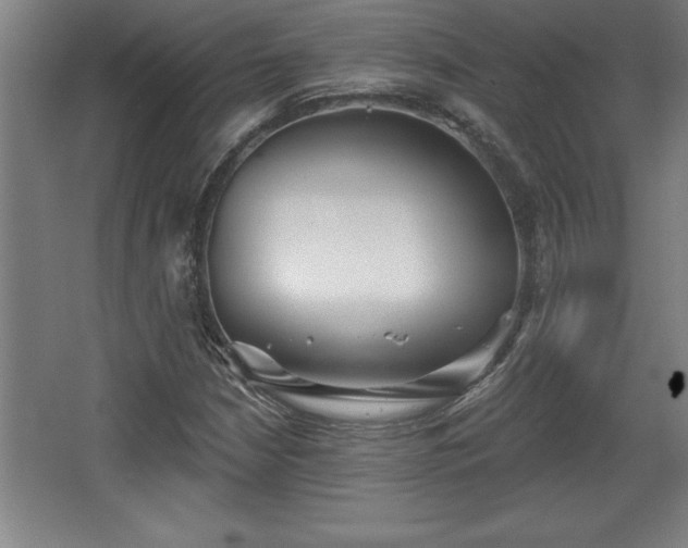 X0000068721210200605010925