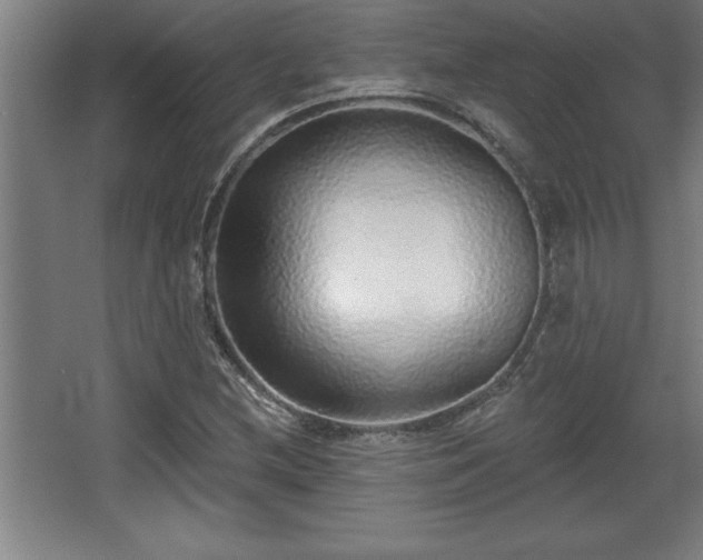 X0000068721212200605010925