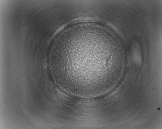 X0000068721213200605010925