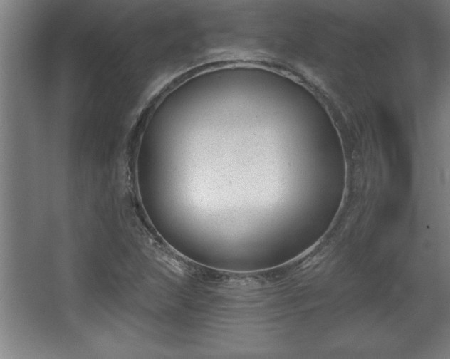 X0000068721215200605010925