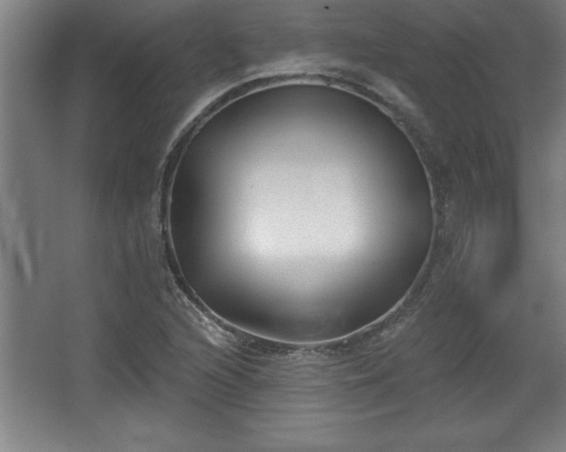 X0000068721216200605010925