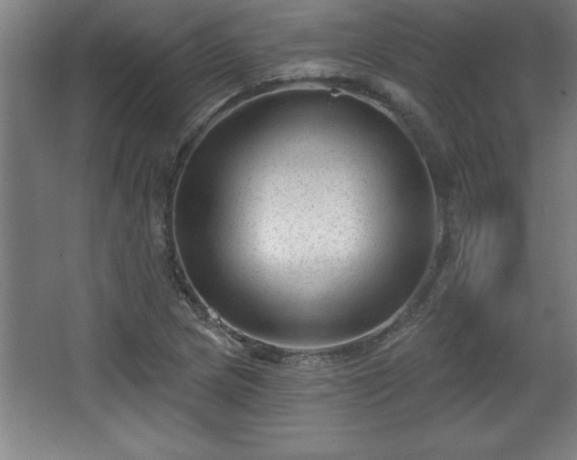 X0000068721217200605010925