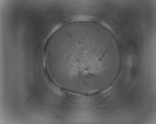 X0000068721219200605010925