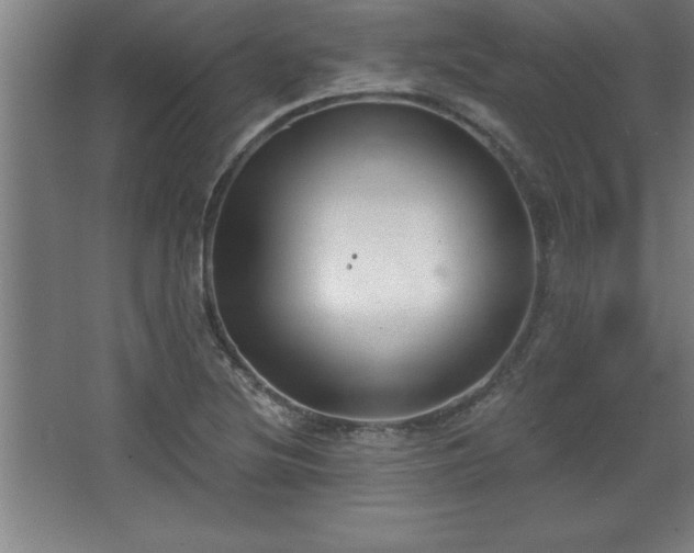 X0000068721220200605010925