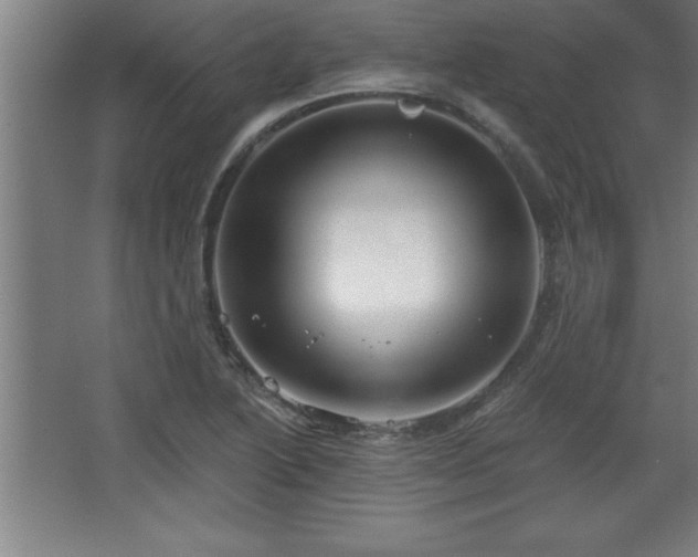 X0000068721222200605010925