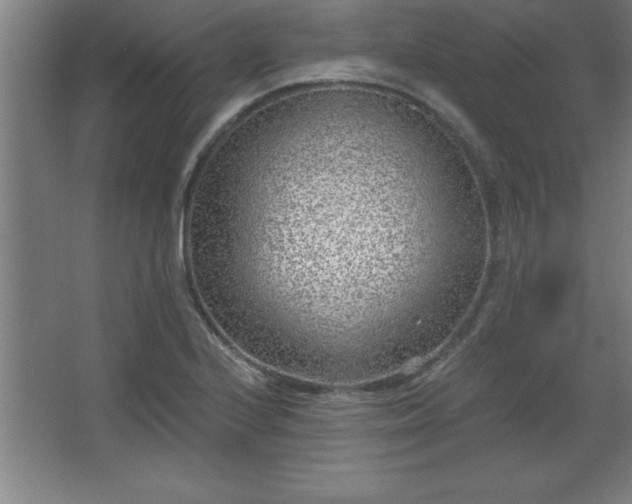 X0000068721224200605010925