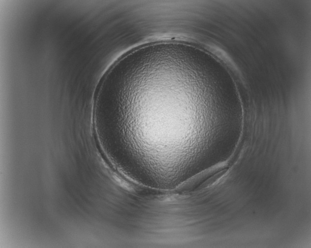 X0000068721228200605010925