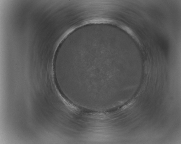 X0000068721229200605010925