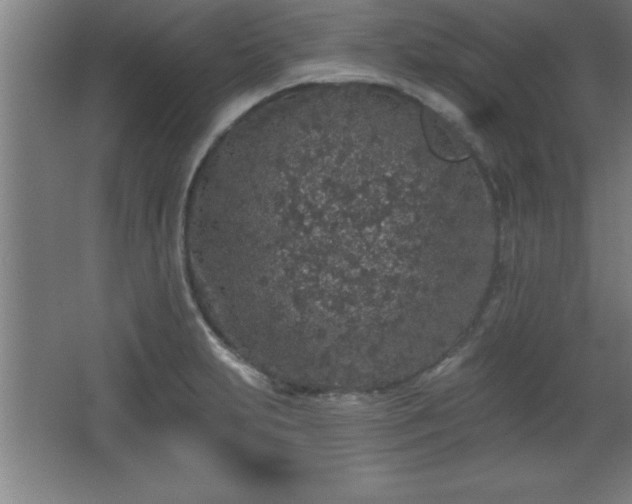 X0000068721231200605010925