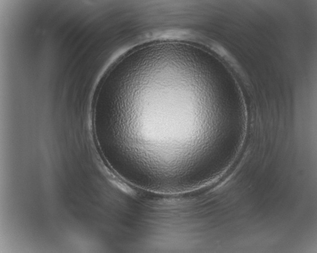 X0000068721232200605010925