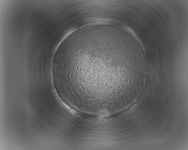 X0000068721235200605010925