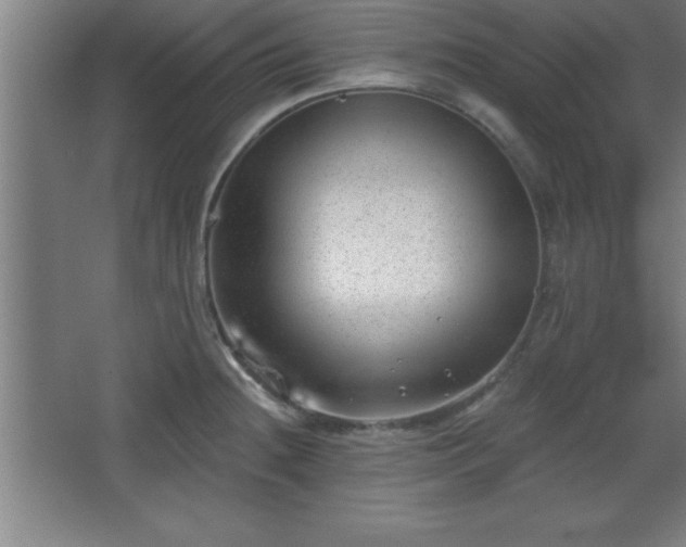 X0000068721236200605010925