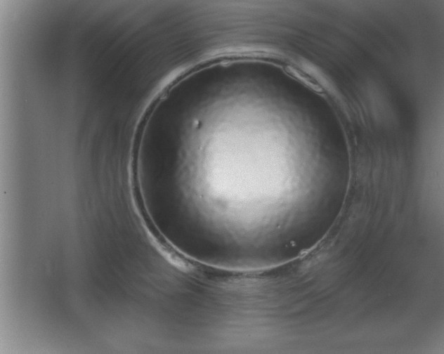 X0000068721237200605010925