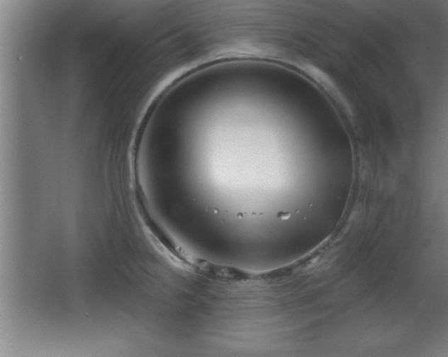 X0000068721238200605010925