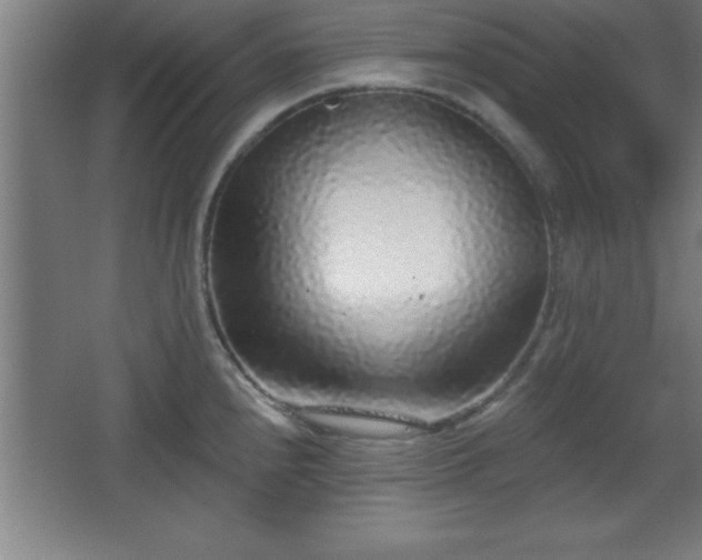 X0000068721240200605010925