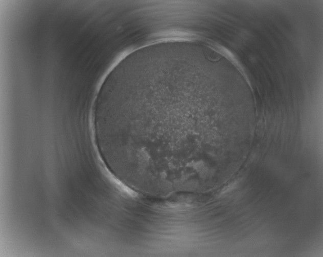 X0000068721243200605010925