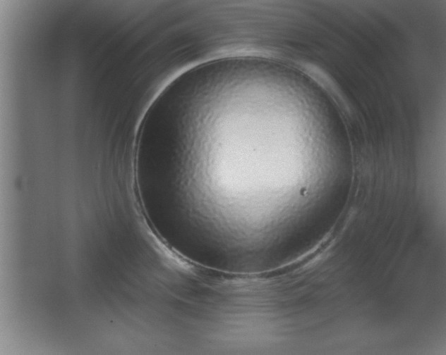 X0000068721244200605010925