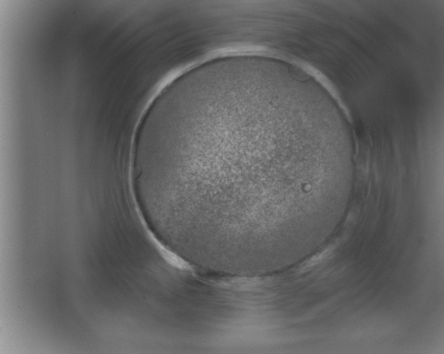 X0000068721245200605010925