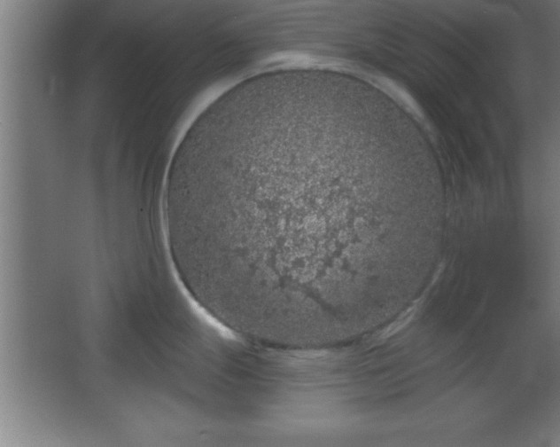 X0000068721247200605010925