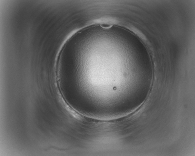 X0000068721248200605010925