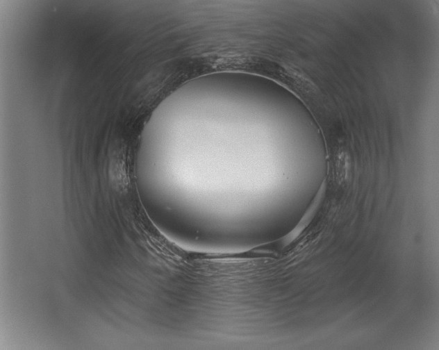 X0000068721250200605010924