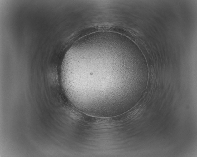 X0000068721252200605010924