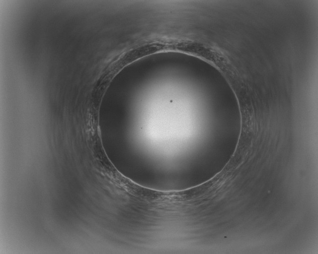 X0000068721253200605010924