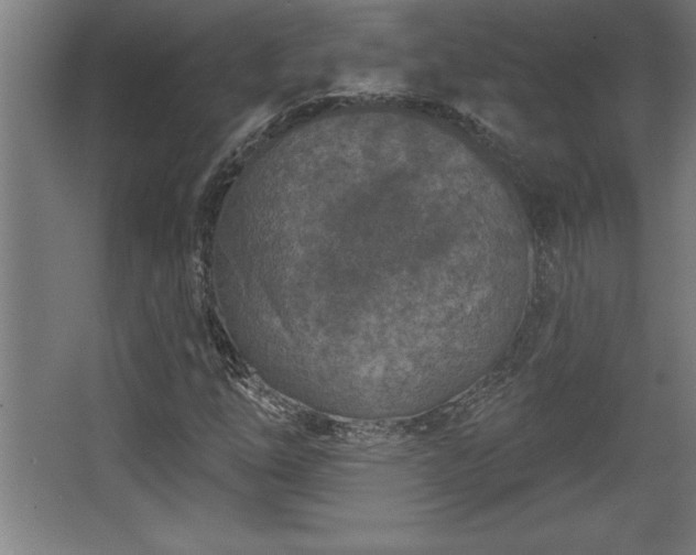 X0000068721254200605010924