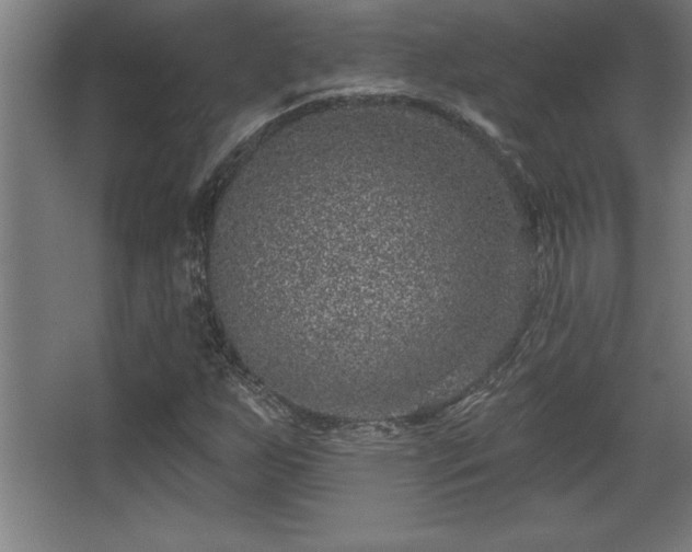 X0000068721255200605010924