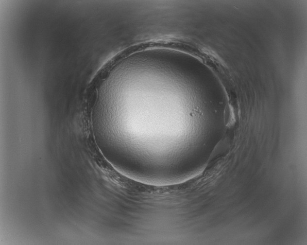 X0000068721256200605010924