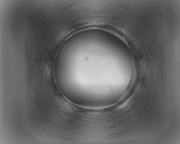 X0000068721257200605010924