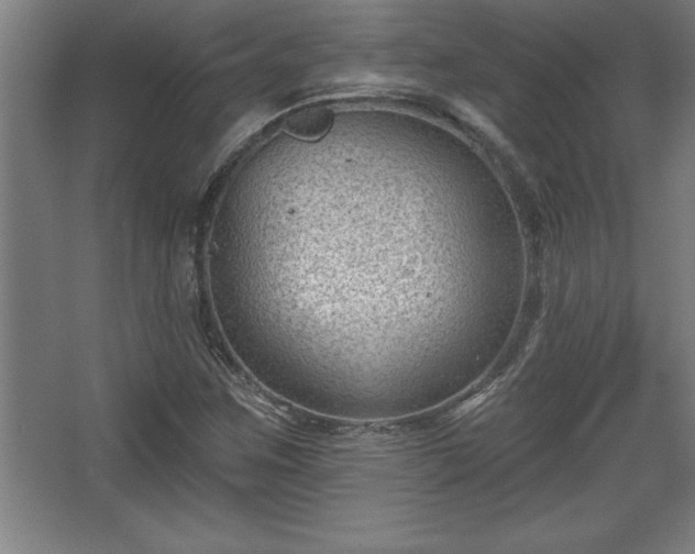 X0000068721259200605010924