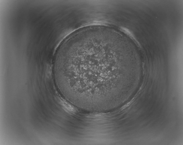 X0000068721260200605010924