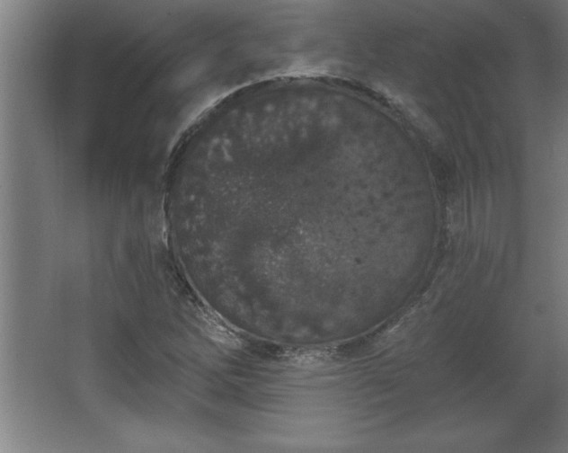 X0000068721262200605010924