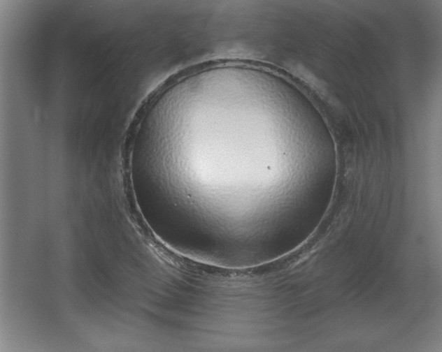 X0000068721264200605010924