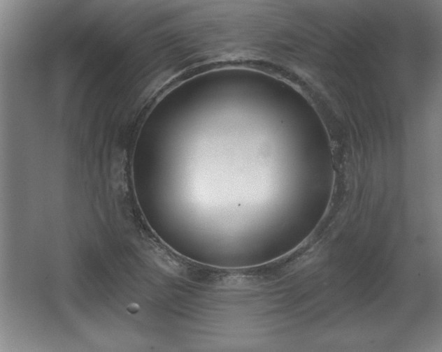 X0000068721265200605010924