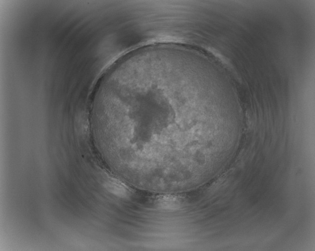 X0000068721266200605010924