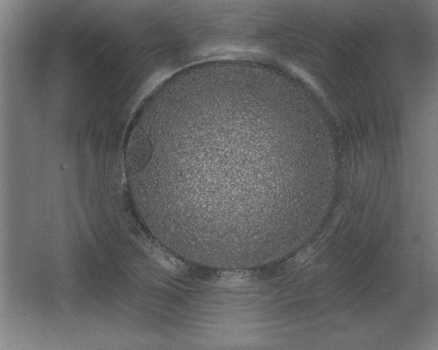 X0000068721267200605010924