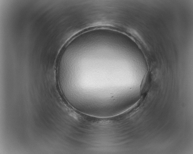 X0000068721268200605010924