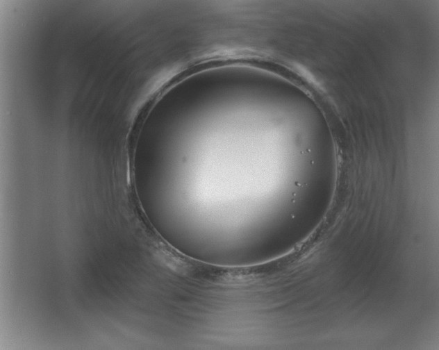 X0000068721269200605010924