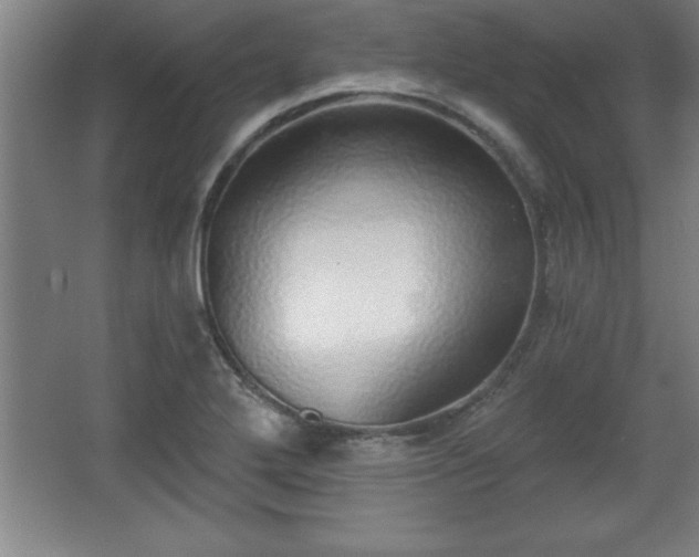 X0000068721272200605010924