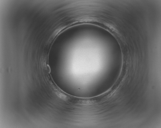 X0000068721273200605010924