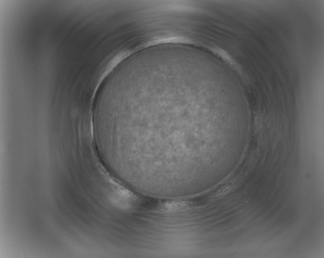 X0000068721274200605010924