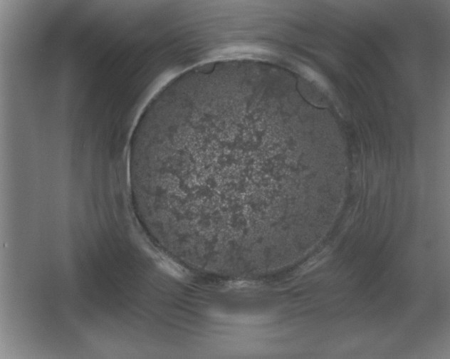 X0000068721275200605010924